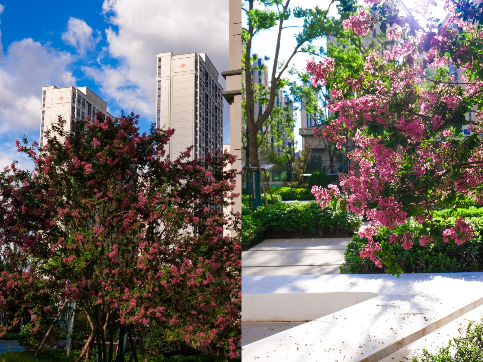 ̨һĿbe likeͼ˵ܷ